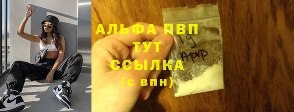 амф Алексин