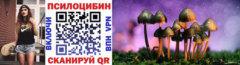 наркота  площадка официальный сайт  Галлюциногенные грибы мицелий  Таштагол 
